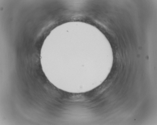 X0000077371447200611171937