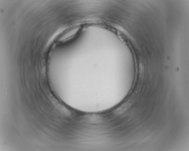 X0000077371450200611171936