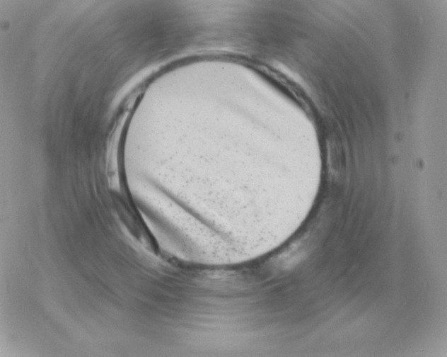 X0000077371452200611171936