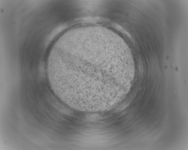 X0000077371454200611171936