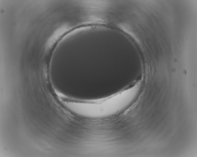 X0000077371455200611171936