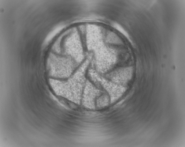 X0000077371456200611171936