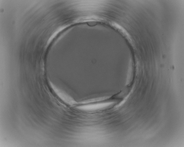 X0000077371457200611171936