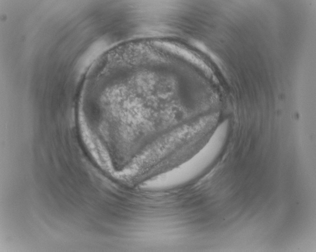 X0000077371459200611171936