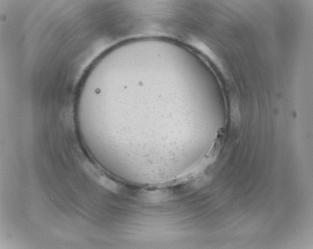 X0000077371460200611171936