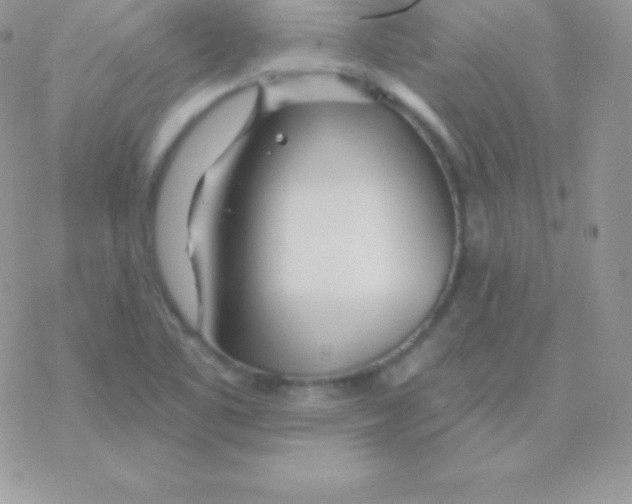 X0000077371461200611171936