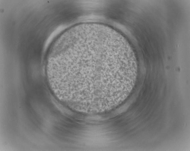 X0000077371462200611171936