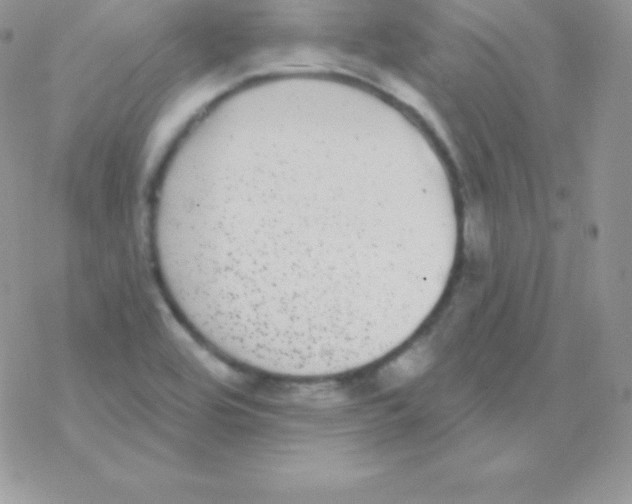 X0000077371464200611171936