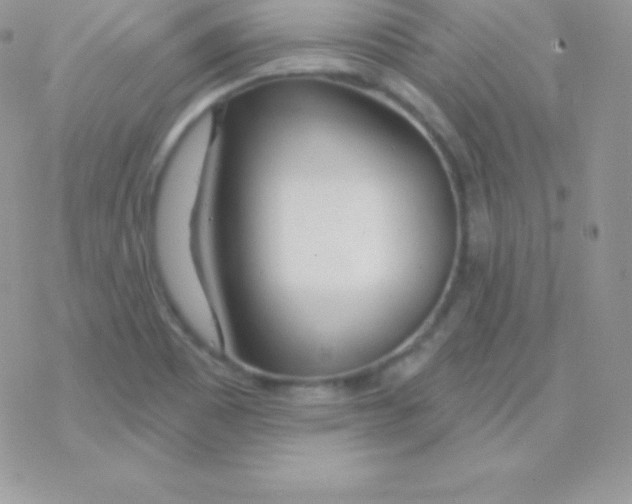 X0000077371465200611171936