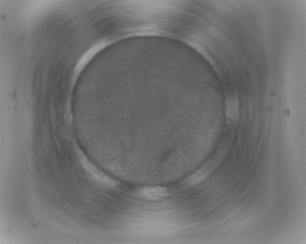 X0000077371466200611171936