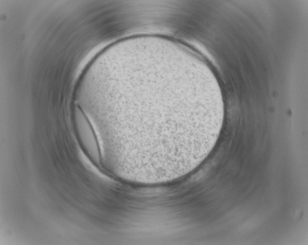 X0000077371468200611171936