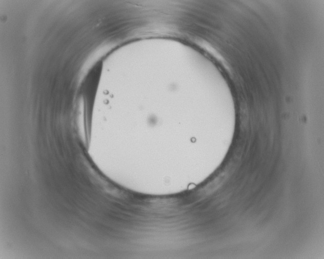 X0000077371469200611171936