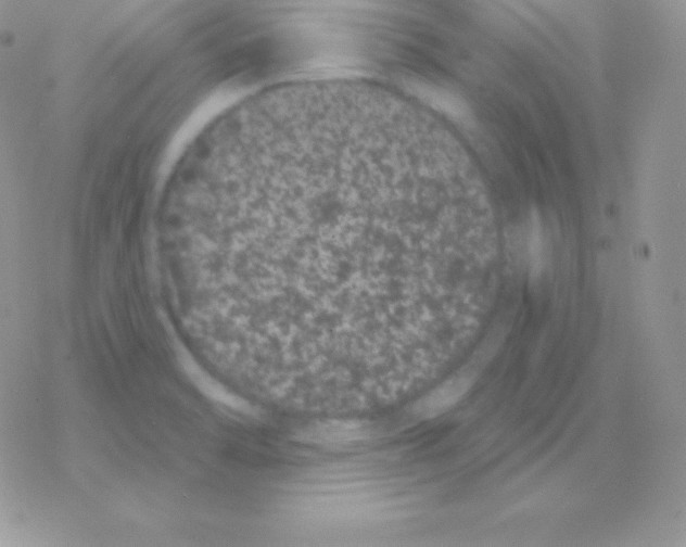 X0000077371470200611171936