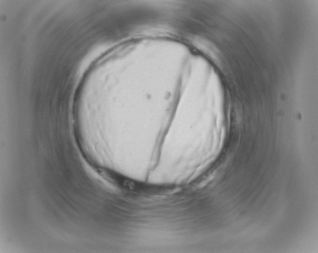 X0000077371471200611171936