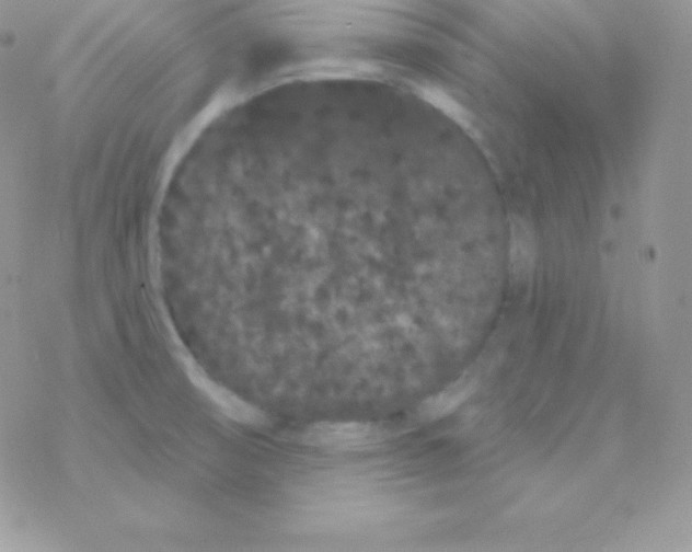 X0000077371474200611171936