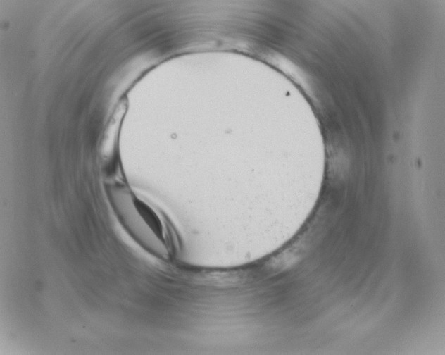 X0000077371476200611171936