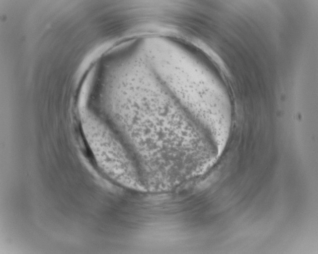 X0000077371477200611171936