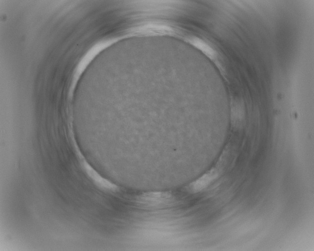 X0000077371478200611171936