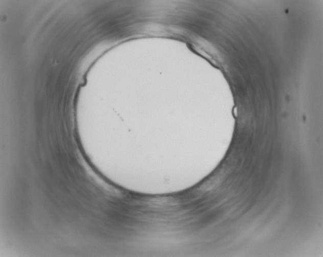 X0000077371479200611171936