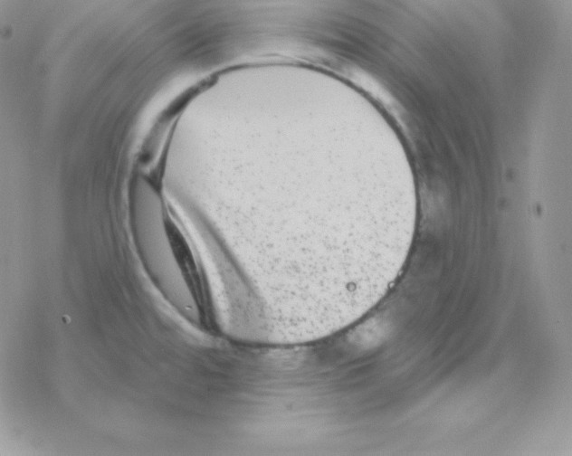 X0000077371480200611171936