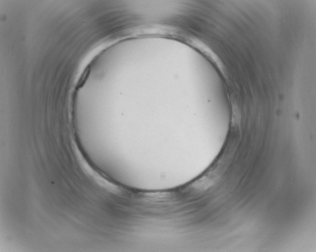 X0000077371483200611171936