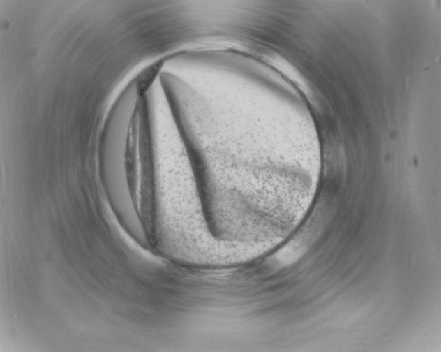 X0000077371484200611171936