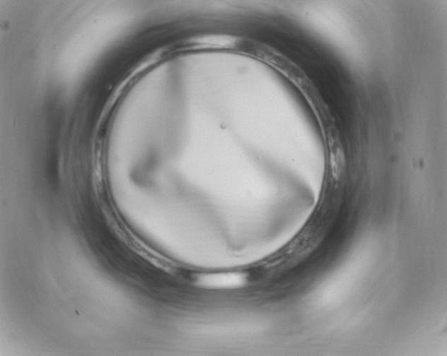 X0000077371487200611171936