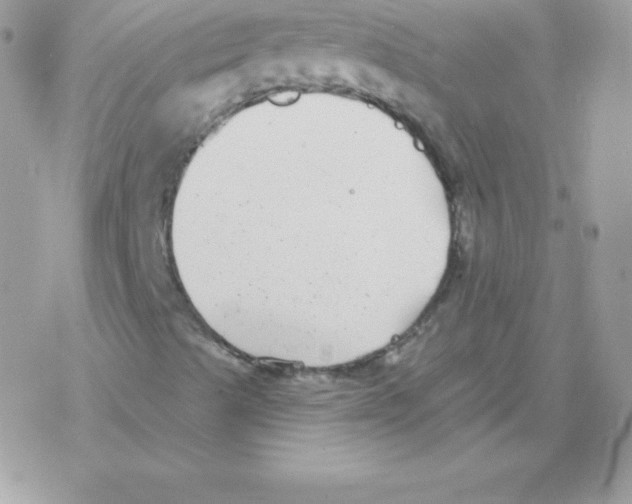 X0000077371489200611171935