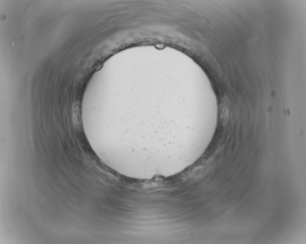 X0000077371490200611171935