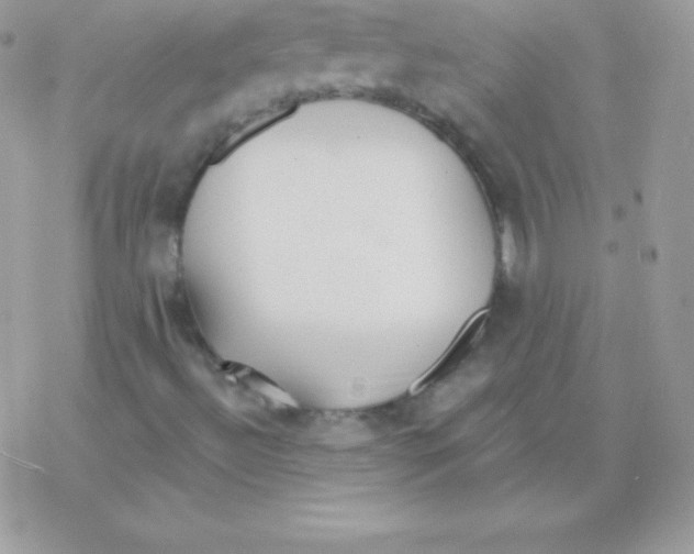 X0000077371492200611171935