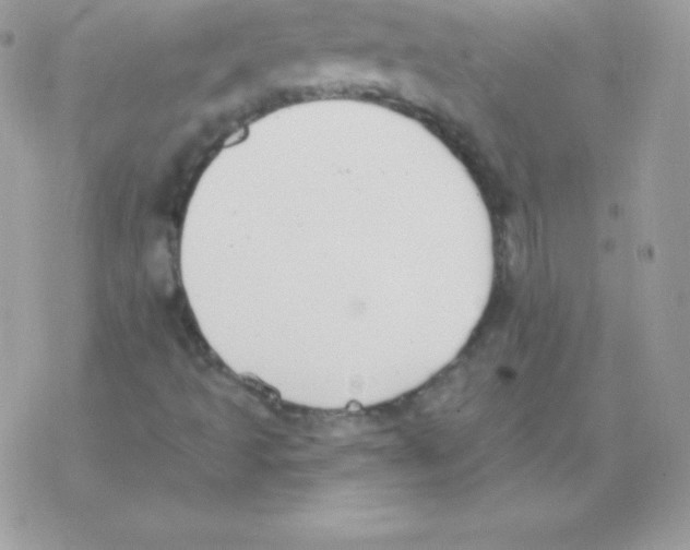 X0000077371493200611171935