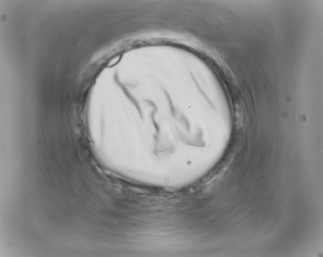 X0000077371494200611171935