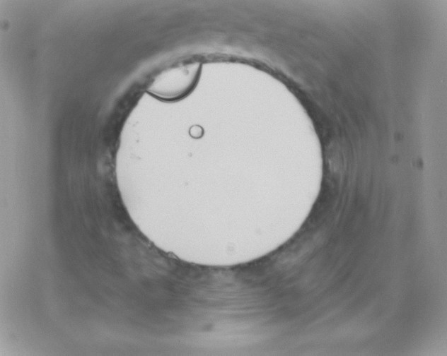 X0000077371495200611171935