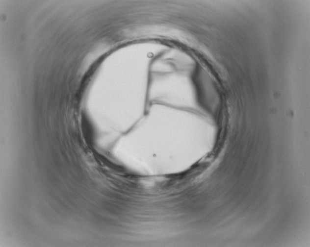 X0000077371497200611171935