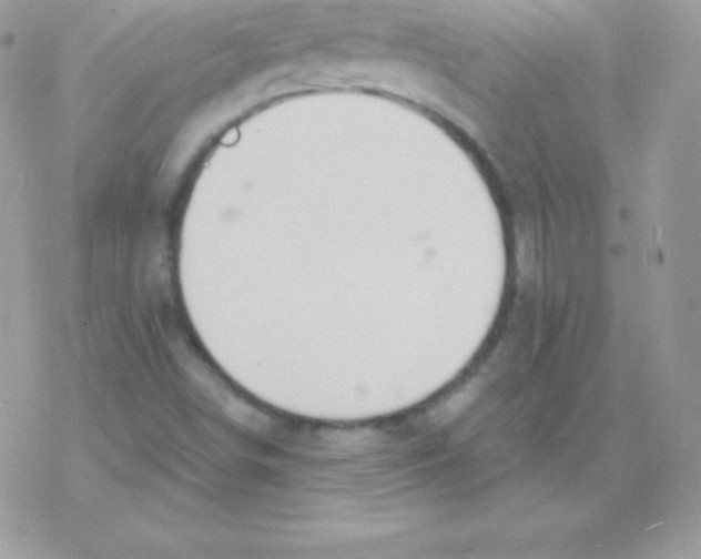 X0000077371498200611171935