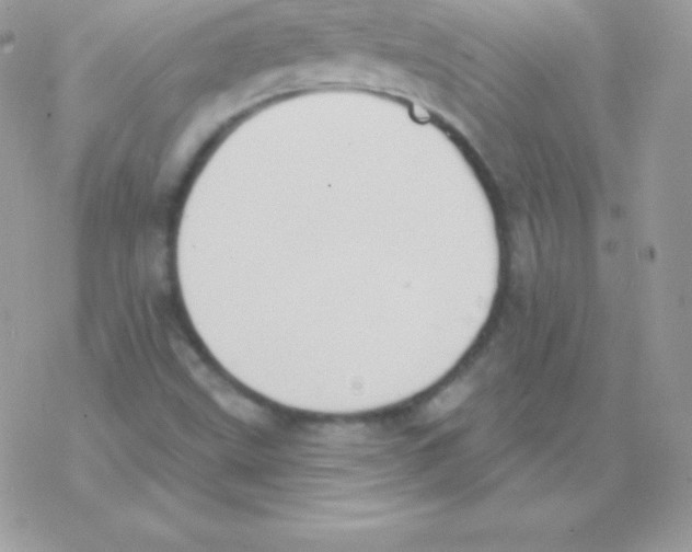 X0000077371499200611171935