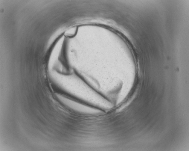 X0000077371501200611171935