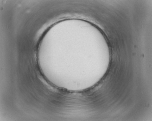 X0000077371503200611171935