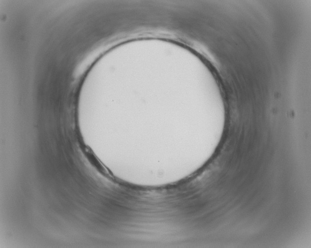 X0000077371504200611171935