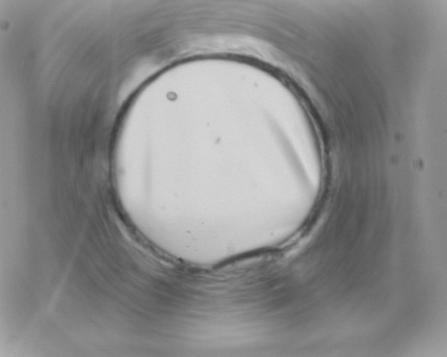 X0000077371505200611171935