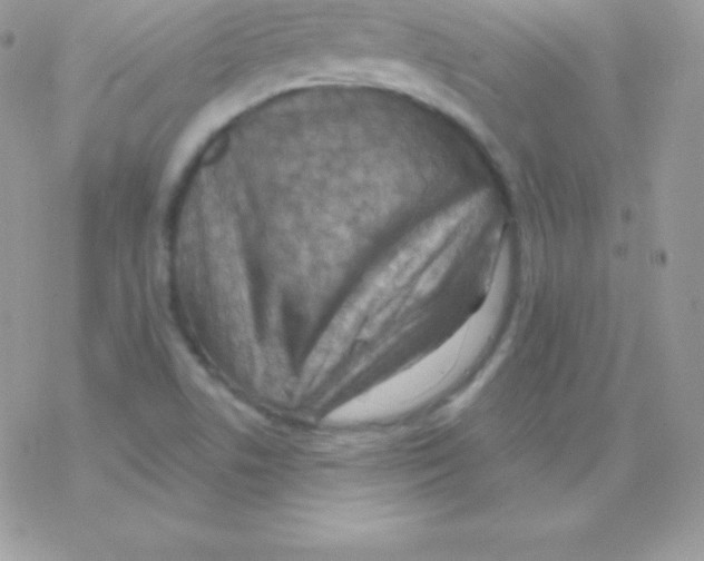 X0000077371506200611171935