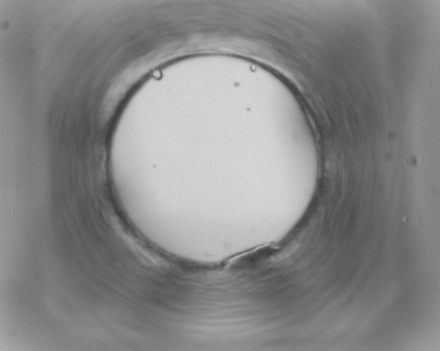 X0000077371507200611171935