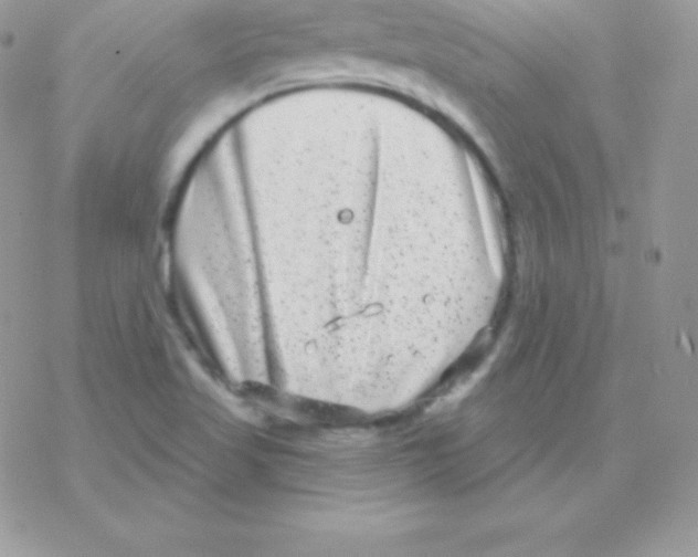 X0000077371509200611171935