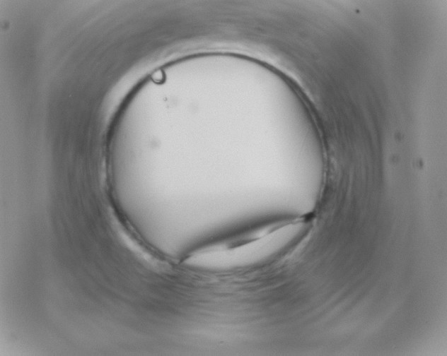 X0000077371511200611171935