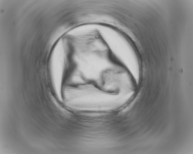 X0000077371513200611171935