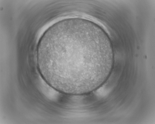 X0000077371514200611171935