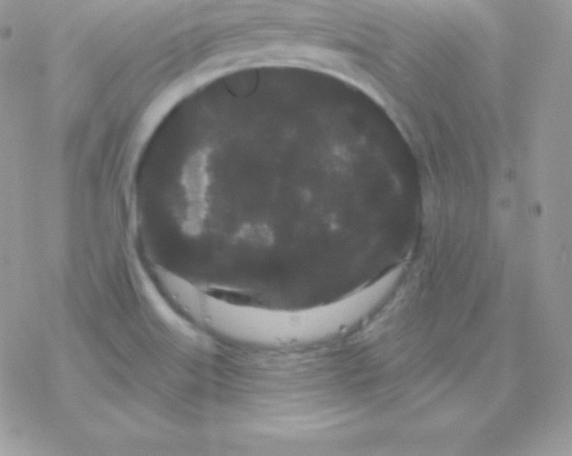 X0000077371515200611171935