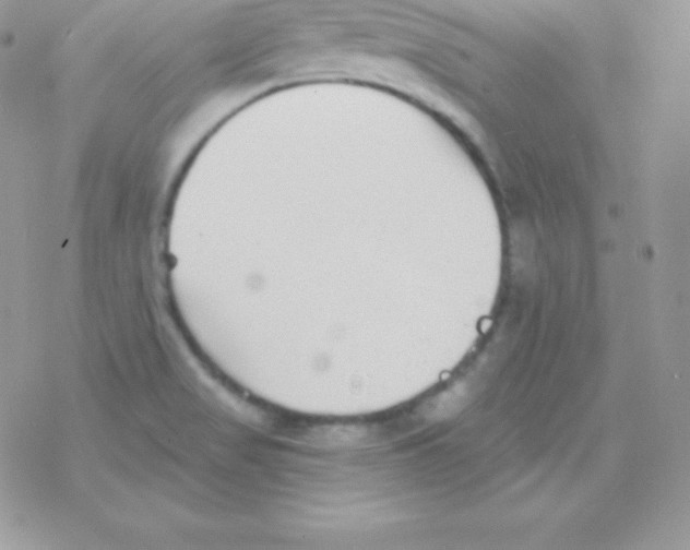 X0000077371517200611171935