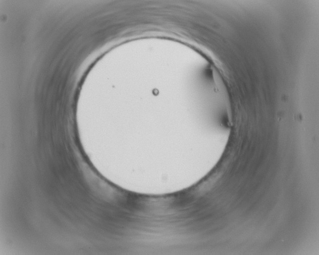 X0000077371518200611171935