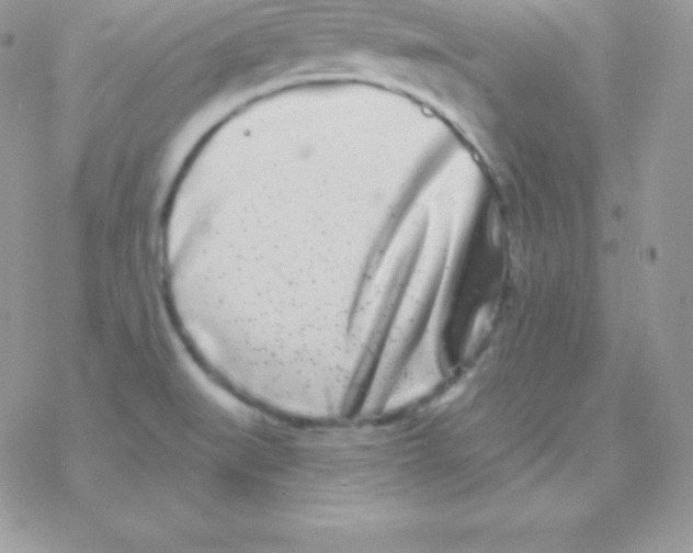 X0000077371519200611171935